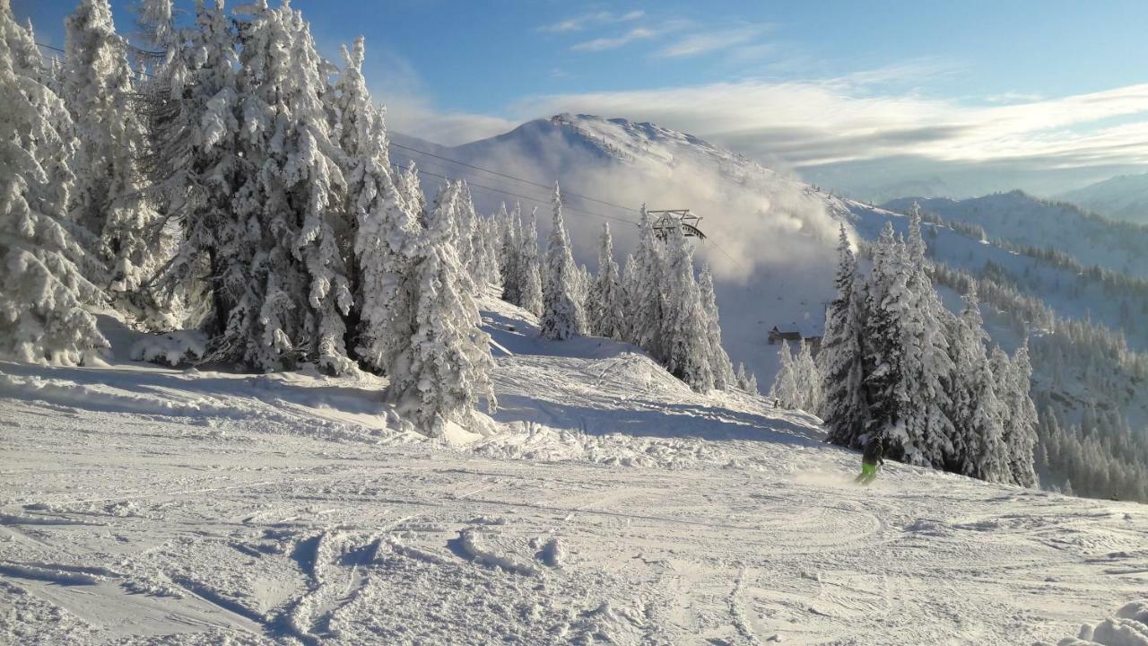 Pension Mozart Ваграйн Экстерьер фото